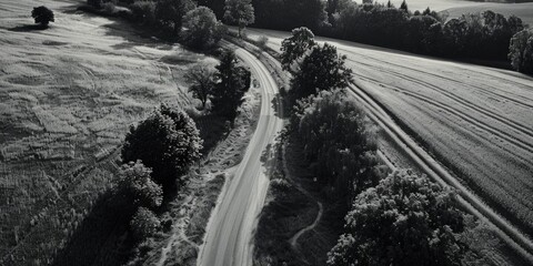 Poster - A scenic black and white photo of a country road. Suitable for various projects