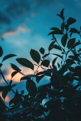 Aufkleber - Close up of a plant with a beautiful sky background. Perfect for nature and environmental concepts