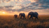 Fototapeta Sawanna - Family of elephants gracefully traversing a serene savannah at dawn.