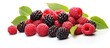 A mix of raspberries and blackberries with green leaves, a delicious fruit combination perfect for recipes or natural food ingredients. The pile of berries sits on a clean white background