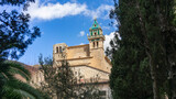 Fototapeta Zwierzęta - Carthusian Monastery of Valldemossa Peeking Through Verdant Trees in Mallorca
