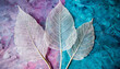 White transparent skeleton leaves with beautiful texture on a blue lilac and pink abstract background