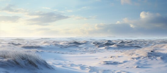 Poster - A serene natural landscape of a snowy beach with a blue sky and fluffy cumulus clouds in the background, creating a picturesque horizon