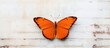 An orange butterfly, a pollinator and arthropod, with symmetrical wings, is perched on a white brick wall, a serene scene blending art and nature