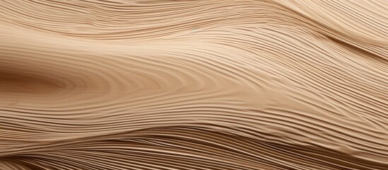 Poster - A detailed closeup of a brown wood grain texture, resembling hardwood flooring or a varnished table top. The beige wood stain highlights the intricate pattern of the plywood