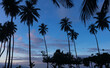 lever de soleil à Tema'e sur l'île de Moorea en Polynésie