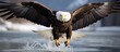 A majestic bald eagle from the Accipitridae family and Falconiformes order is soaring over water with its wings outstretched. This bird of prey travels gracefully with its powerful beak and wings