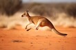 Kangaroo (Macropus giganteus) jumping in the desert