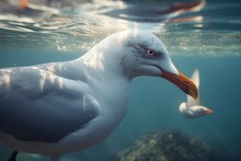 A Seagull Swimming In The Ocean. 3d Rendering.