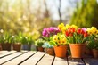 Sunny spring summer garden flower pots gardening background