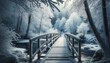 Medium shot of a snow-covered footbridge over a frozen creek, with frosted trees framing the scene.