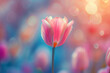 Blooming Tulip Flower 