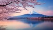 Cherry blossoms or Sakura alongside Mount Fuji, captured by a river in the morning.
