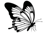 Fototapeta Motyle - Art Nouveau butterfly Graphic Accents, vector illustration, vintage elements	
