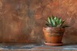 Brown wall flower pot