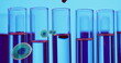 Image of white blood cells over test tubes in laboratory on blue background