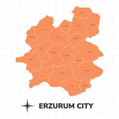 Wall Mural - Erzurum City map illustration. Map of the city in Turkey