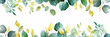 Elegant watercolor eucalyptus leaves border on white background, versatile backdrop for invitations, stationery, or wellness and nature concepts with copy space