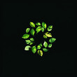 Eco-friendly symbol made of leaves on black isolated background for design