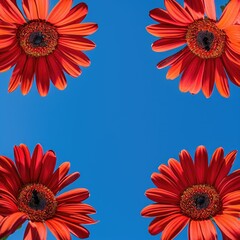 Poster - Four red flowers are in a row, with the blue sky in the background