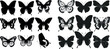 lack drawing butterflies silhouettes isolated vector illustration set