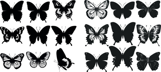 Wall Mural - lack drawing butterflies silhouettes isolated vector illustration set