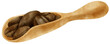 watercolor Roasted coffee beans in wooden scoop