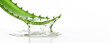 aloe plant gel water splash on white background