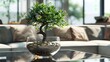 Bonsai Tree Thriving in Glass Bowl Filled with Coins Symbolizes Prosperity and Harmony in Modern Living Room