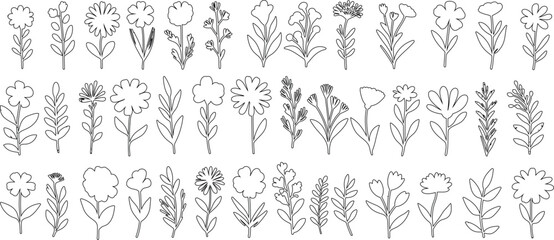 Wall Mural - minimalist floral line art, black outlines on white background, perfect for elegant designs, wallpap