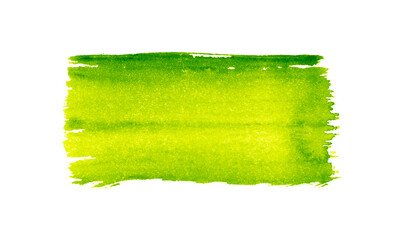 Wall Mural - Abstract green watercolor on white background.