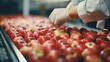 Quality control of apples in a food testing lab, ensuring safety and standards are upheld