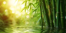 a bamboo stems in water