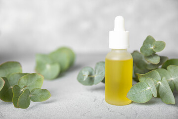 Wall Mural - Eucalyptus essential oil in a glass bottle with green eucalyptus leaves on a textured wooden background. Aromatherapy concept. Spa. Natural organic ingredients for cosmetics and body care.Copy space