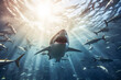 Electric blue fish swim around the great white shark in the dark ocean