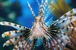 Close Up of Lionfish in Aquarium, A lionfish with fan-like pectoral fins radiating a sense of danger, AI Generated