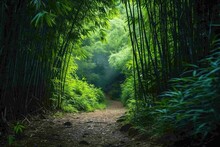 A Winding Path Leads Through A Dense Bamboo Forest With Tall Bamboo Stalks Creating A Mesmerizing Canopy Overhead, A Path Winding Through A Thick Bamboo Forest, AI Generated