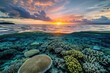Vibrant Coral Reef With a Captivating Sunset as a Backdrop, A peaceful sunrise over a thriving coral reef, AI Generated
