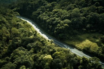 a long curved road in the forest near to brazil image by