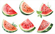 watercolor watermelons slices fruits set
