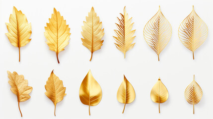 gold leaves on white background.