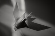 © Image Source - Monochromatic elegance: an origami crane in stillness