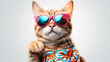 A cat wearing sunglasses and dressing for the upcoming summer on a white background.