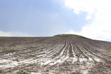 Fototapete - a plowed field after rain