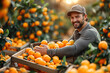 happy men farmer with box with a harvest of harvested ripe orange tangerine on farm