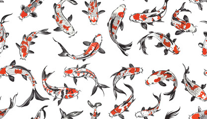 Wall Mural - seamless pattern of koi fish vector.