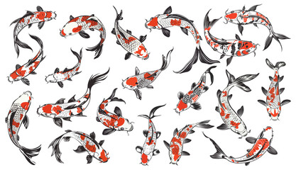 Wall Mural - set of koi fish elements vector.