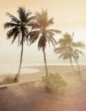 Fototapeta Boho - Experimental abstract double exposure photography of palm trees on a beach in golden hour