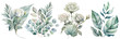 Set watercolor white roses floral roses bouquets. Wedding concept a white background
