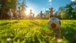 Group of children playing soccer on green grass in the park at sunset